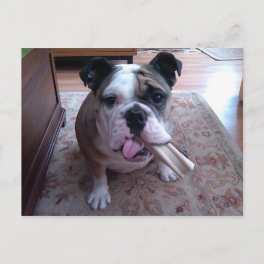 ストギー ポストカード (正面)