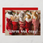 ストッキングのカスタムな写真|のクリスマスの子ネコ シーズンカード (正面/裏面)