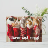 ストッキングのカスタムな写真|のクリスマスの子ネコ シーズンカード (スタンド正面)