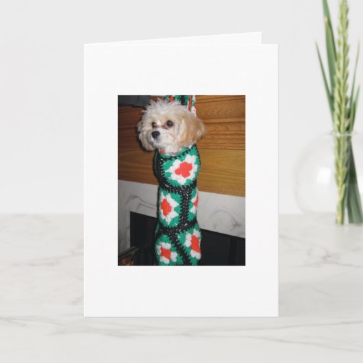 ストッキングのクリスマス犬 シーズンカード (正面)