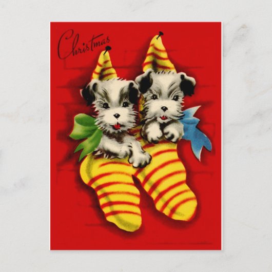 ストッキングの子犬 シーズンポストカード (正面)