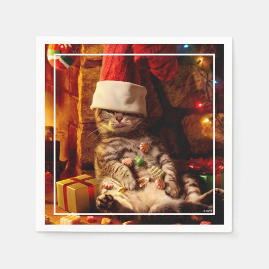 ストッキング付き猫 スタンダードカクテルナプキン (正面)