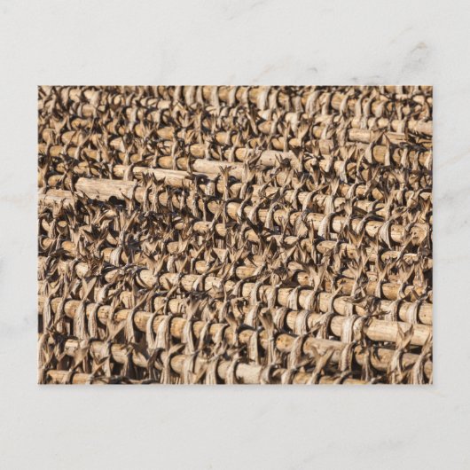 ストッキング ポストカード (正面)