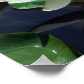 ストップの夏の池ホワイト《植物》スイレン&昆虫 ポスター (角)