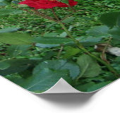 ストップバラポスター ポスター (角)