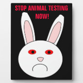 ストップ動物試験歯垢 フォトプラーク (正面)