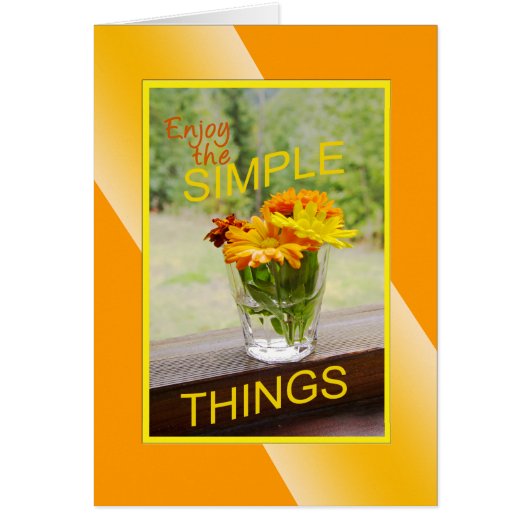 「ストップ匂いを嗅いでデイジー」勇気付けられる (正面)