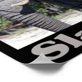 ストップ殺象 ポスター (角)