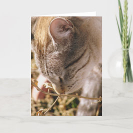 ストップ花の匂い カード