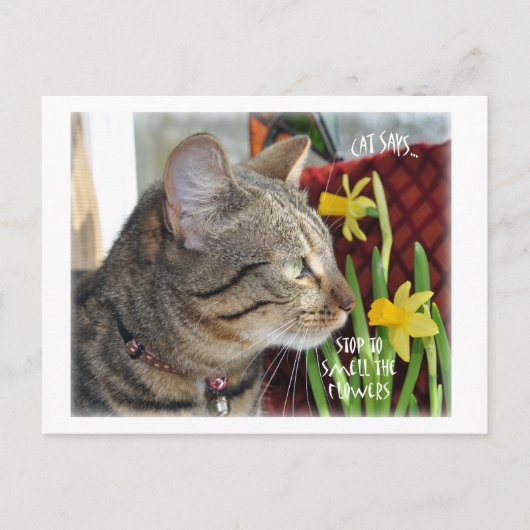 ストップ花の匂い ポストカード (正面)