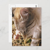 ストップ花の匂い ポストカード (正面/裏面)