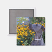 ストップ花の匂い マグネット (正面/裏面)