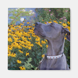 ストップ花の匂い マグネット