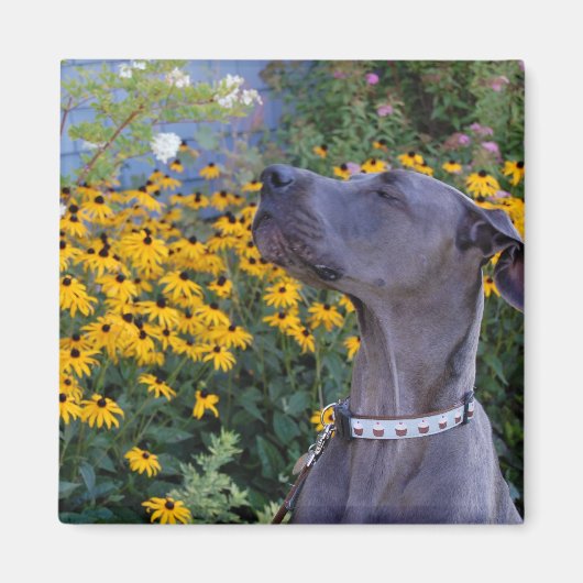 ストップ花の匂い マグネット (正面)