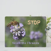 ストップ花引用文 (スタンド正面)