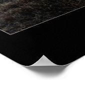 ストップ!!!あの夕日を見ろ！ ポスター (角)