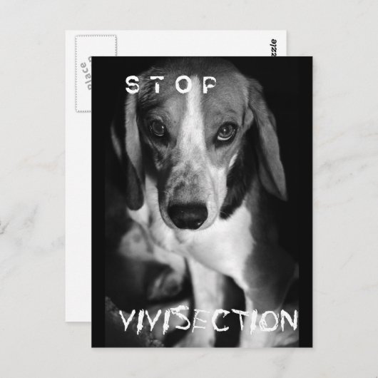 ストップVivisection – はがき (正面/裏面)