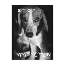 ストップVivisection – はがき
