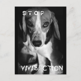 ストップVivisection – はがき