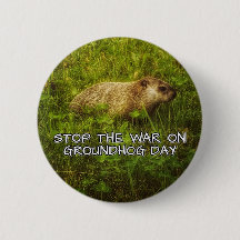 ストップWar on groundhog day button