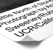 ストニーフォードの北の牛Ansel Adams ポスター (角)