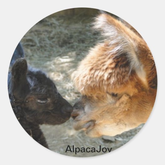 ストミーとエピファニー ラウンドシール (正面)