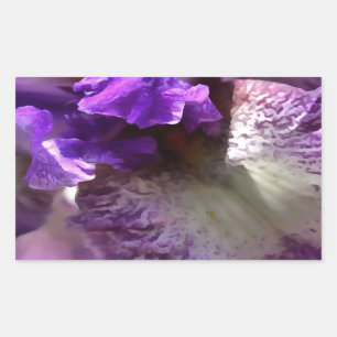 ストライキング·パープル、バイオレット、モーブ·アイリス·抽象芸術 長方形シール