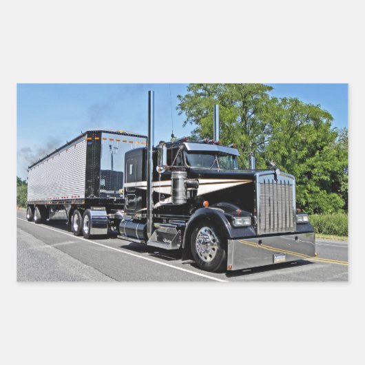 ストライトのW900Lシール 長方形シール (正面)