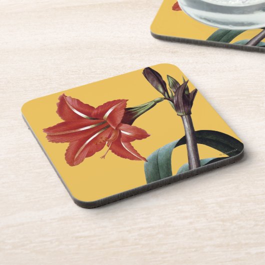 ストライプのなアマリリス コースター (左側)