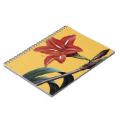 ストライプのなアマリリス ノートブック (左側)