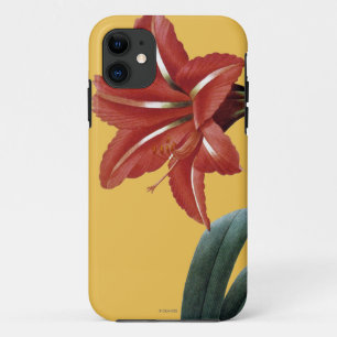 ストライプのなアマリリス iPhone 11 ケース