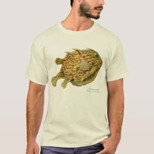 ストライプのなcowfish tシャツ