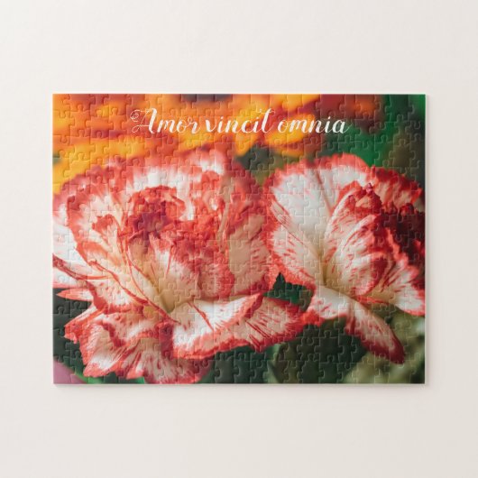 ストライプの車 ジグソーパズル (横)