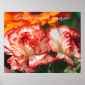 ストライプの車 ポスター (正面)