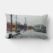 ストライプの電 アウトドアクッション (裏面)