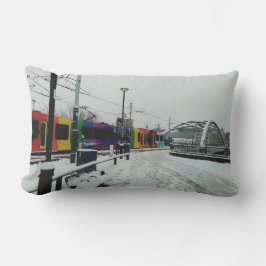 ストライプの電 アウトドアクッション