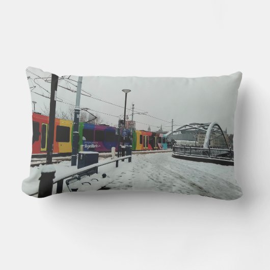 ストライプの電 アウトドアクッション (正面)