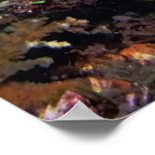 ストライプの魚 ポスター (角)