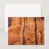 ストライプのRock of Double Arch Alcove II at Zion (正面/裏面)