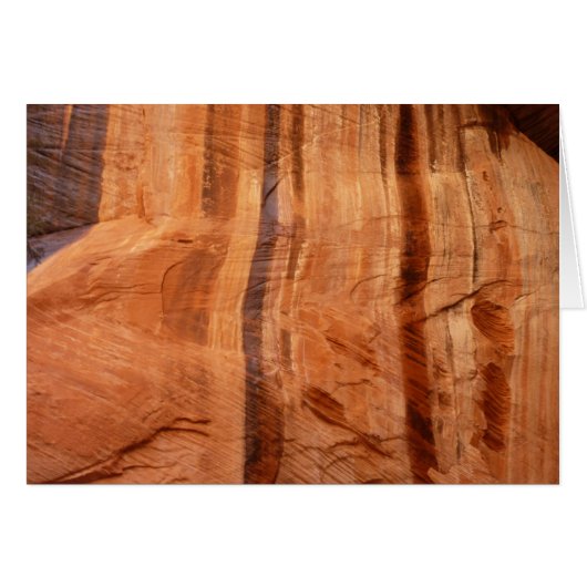 ストライプのRock of Double Arch Alcove II at Zion (正面横)