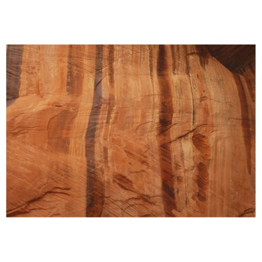 ストライプのRock of Double Arch Alcove II at Zion ウッドポスター (正面)