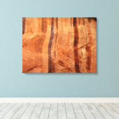 ストライプのRock of Double Arch Alcove II at Zion キャンバスプリント (インサイチュ (ウッドフロア))