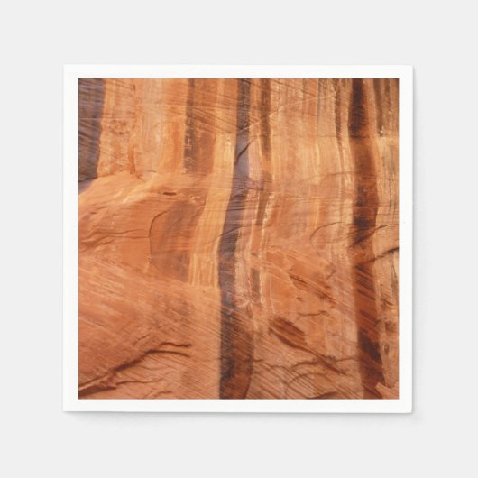 ストライプのRock of Double Arch Alcove II at Zion スタンダードカクテルナプキン (正面)