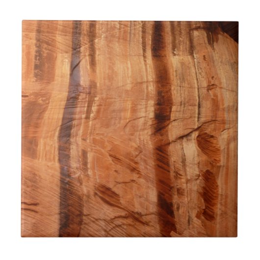 ストライプのRock of Double Arch Alcove II at Zion タイル (正面)