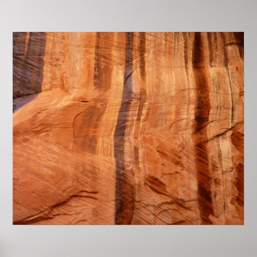 ストライプのRock of Double Arch Alcove II at Zion ポスター (正面)