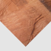 ストライプのRock of Double Arch Alcove II at Zion 薄葉紙 (詳細)