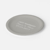 ストライプパターカスタムン紙プレート ペーパープレート (アングル)