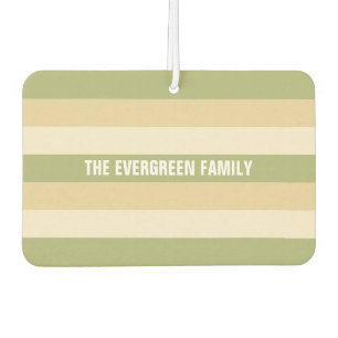 ストライプパターカスタムン車の空気清浄機 カーエアーフレッシュナー