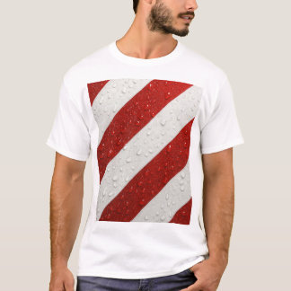 ストライプ柄 Tシャツ
