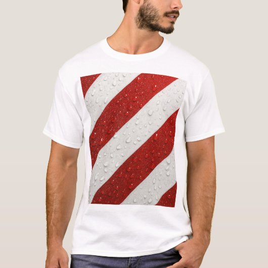 ストライプ柄 Tシャツ (正面)